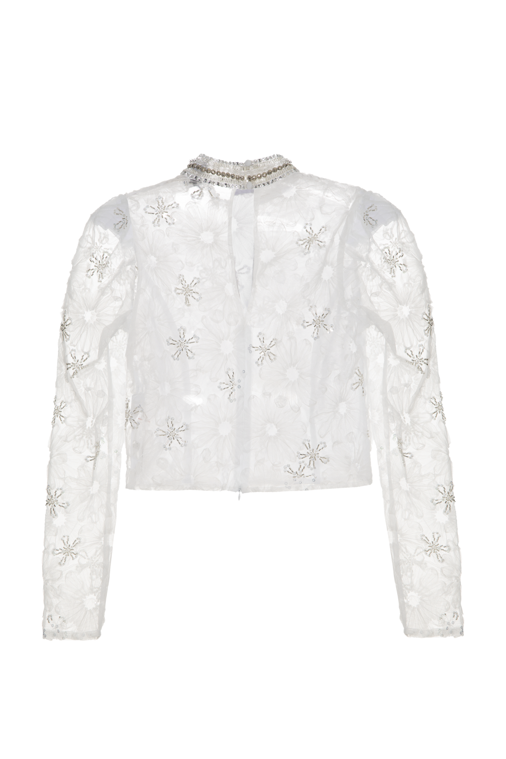 AV25BOTOP30277BR_00034