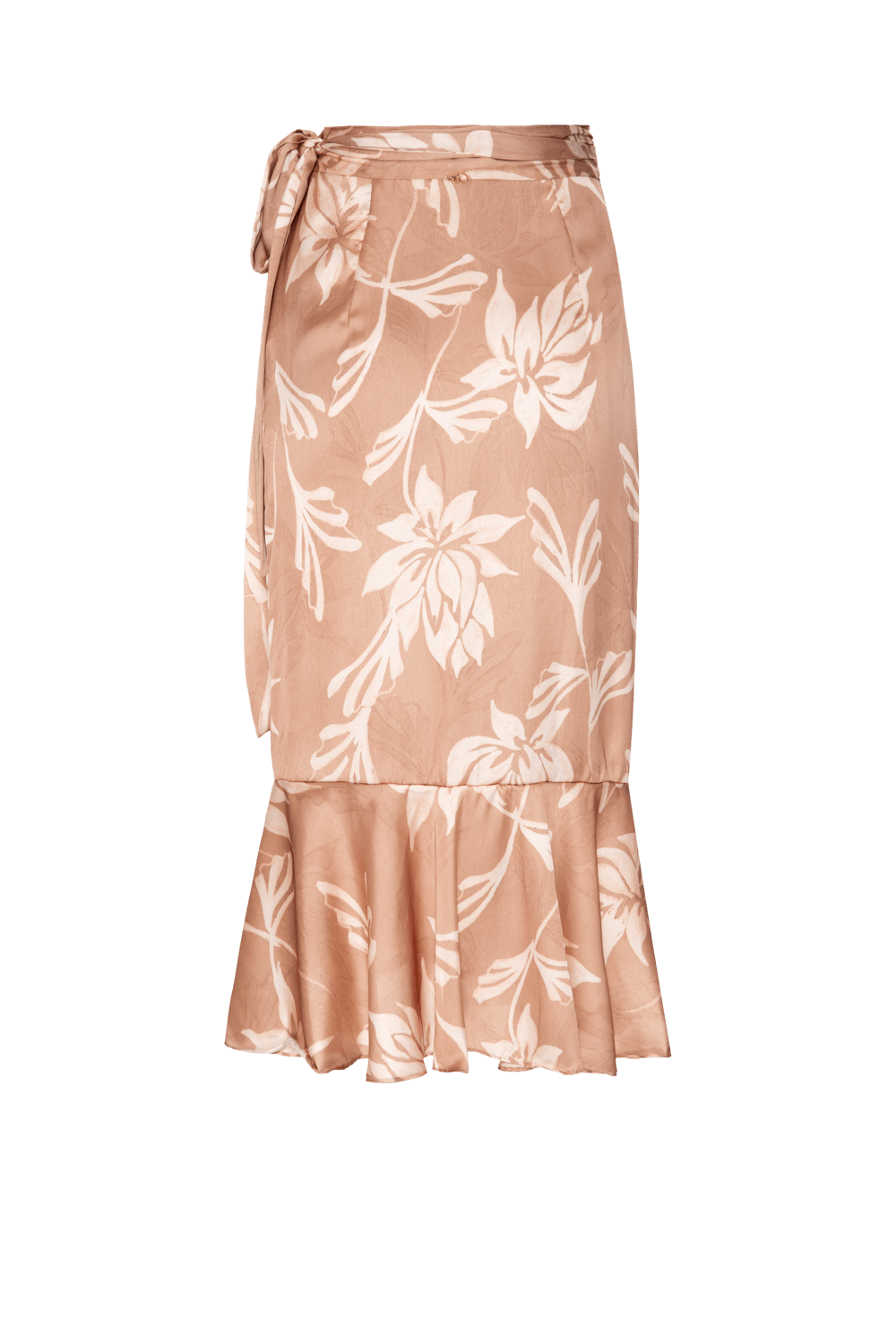 AV25BWSPM31206BR_590