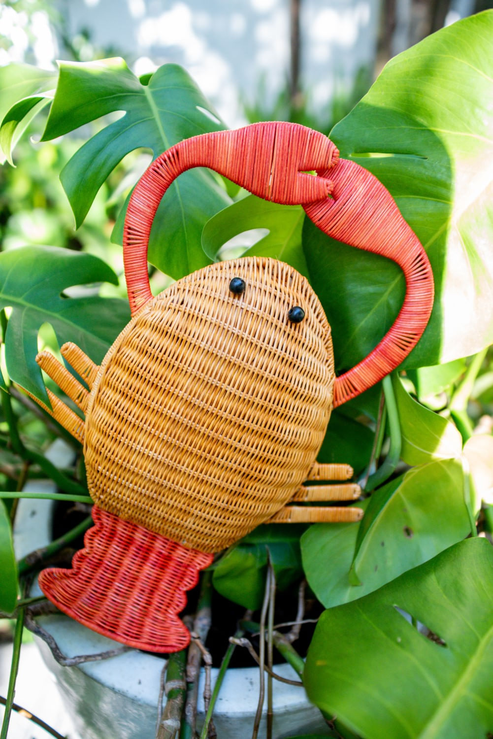 BOLSA 9916 LOBSTER WK #LT HONEY WITH RED NATURAL
