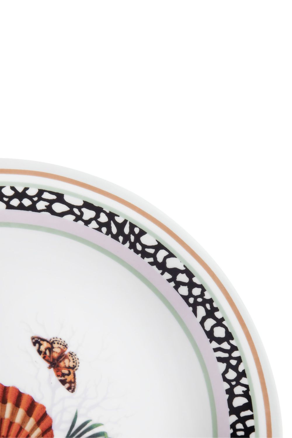 PRATO RASO CONCHA MAR TROPICAL UNICA