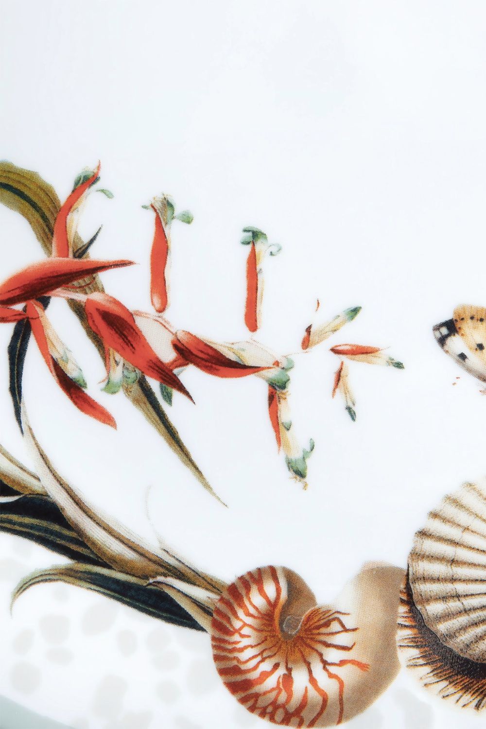 PRATO RASO BROMÉLIA MAR TROPICAL UNICA