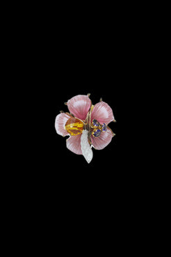 ANEL SUMMER HIBISCO ROSA