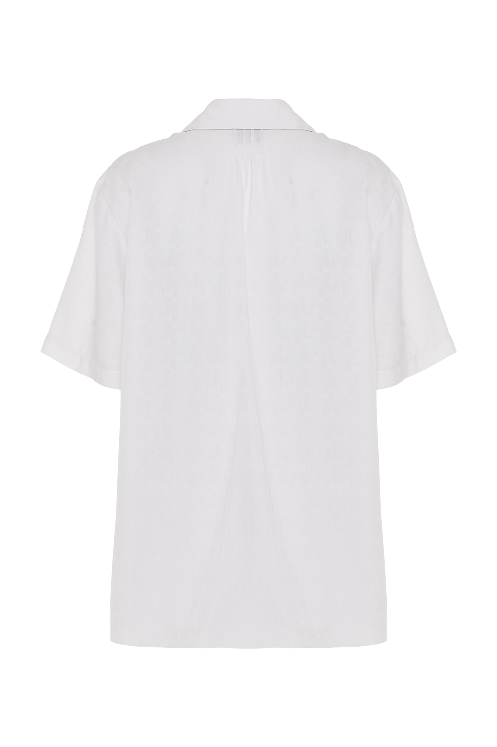 V25APCAM31230BR_00034