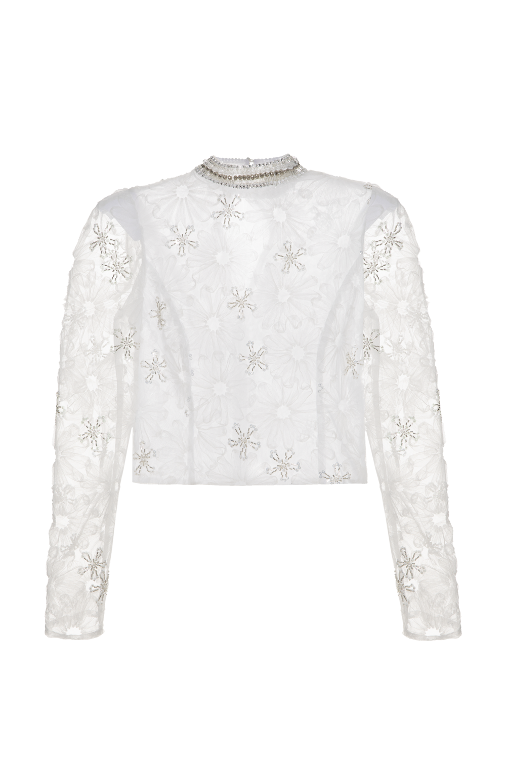 AV25BOTOP30277BR_00034