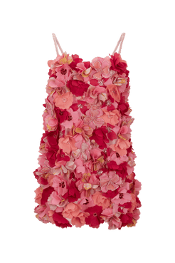 I24BOVEC28607BR_00380