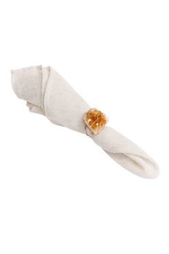 TBWDTGDN30904BR_00010