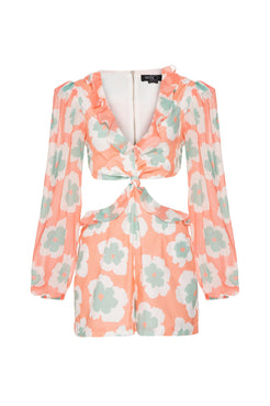 MACAQUINHO WIND FLOWER CORAL