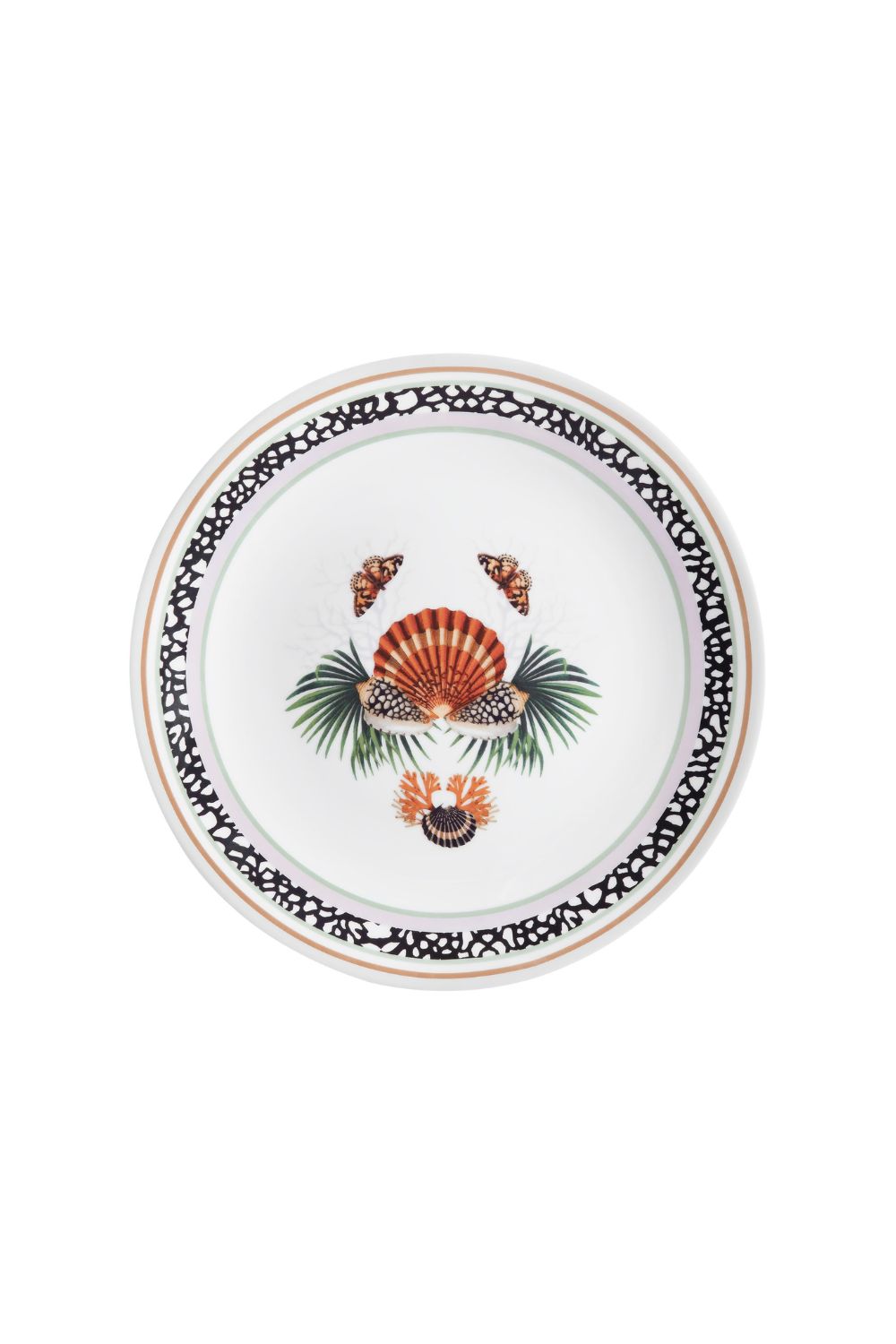 PRATO RASO CONCHA MAR TROPICAL UNICA