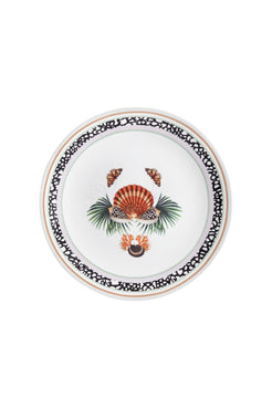 PRATO RASO CONCHA MAR TROPICAL UNICA