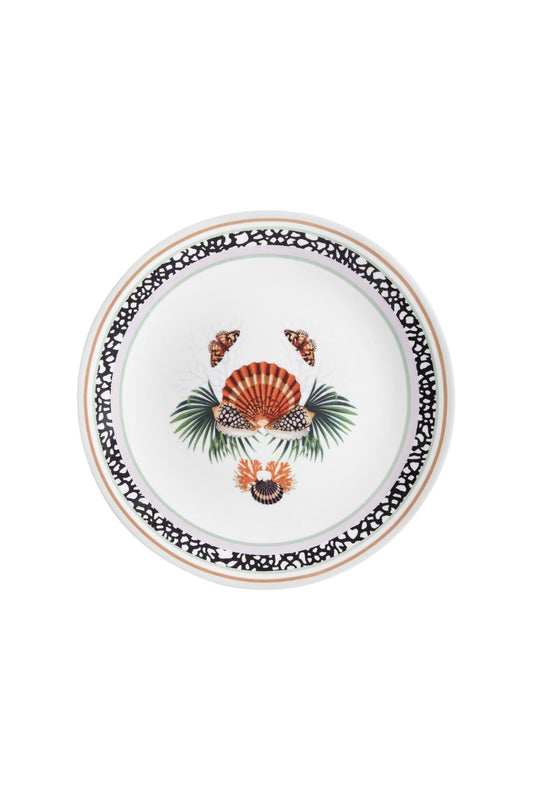 PRATO RASO CONCHA MAR TROPICAL UNICA