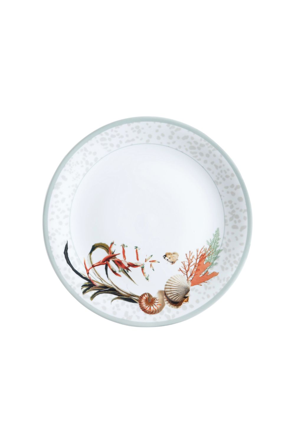 PRATO RASO BROMÉLIA MAR TROPICAL  UNICA