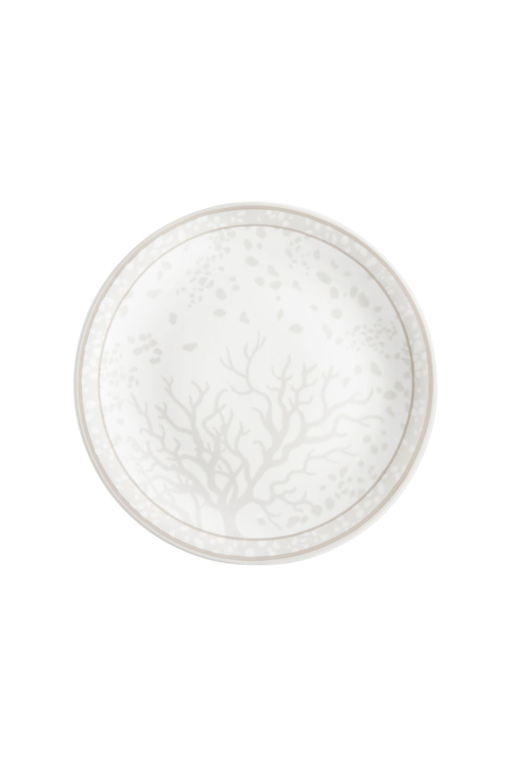 PRATO RASO CORAL MAR TROPICAL UNICA