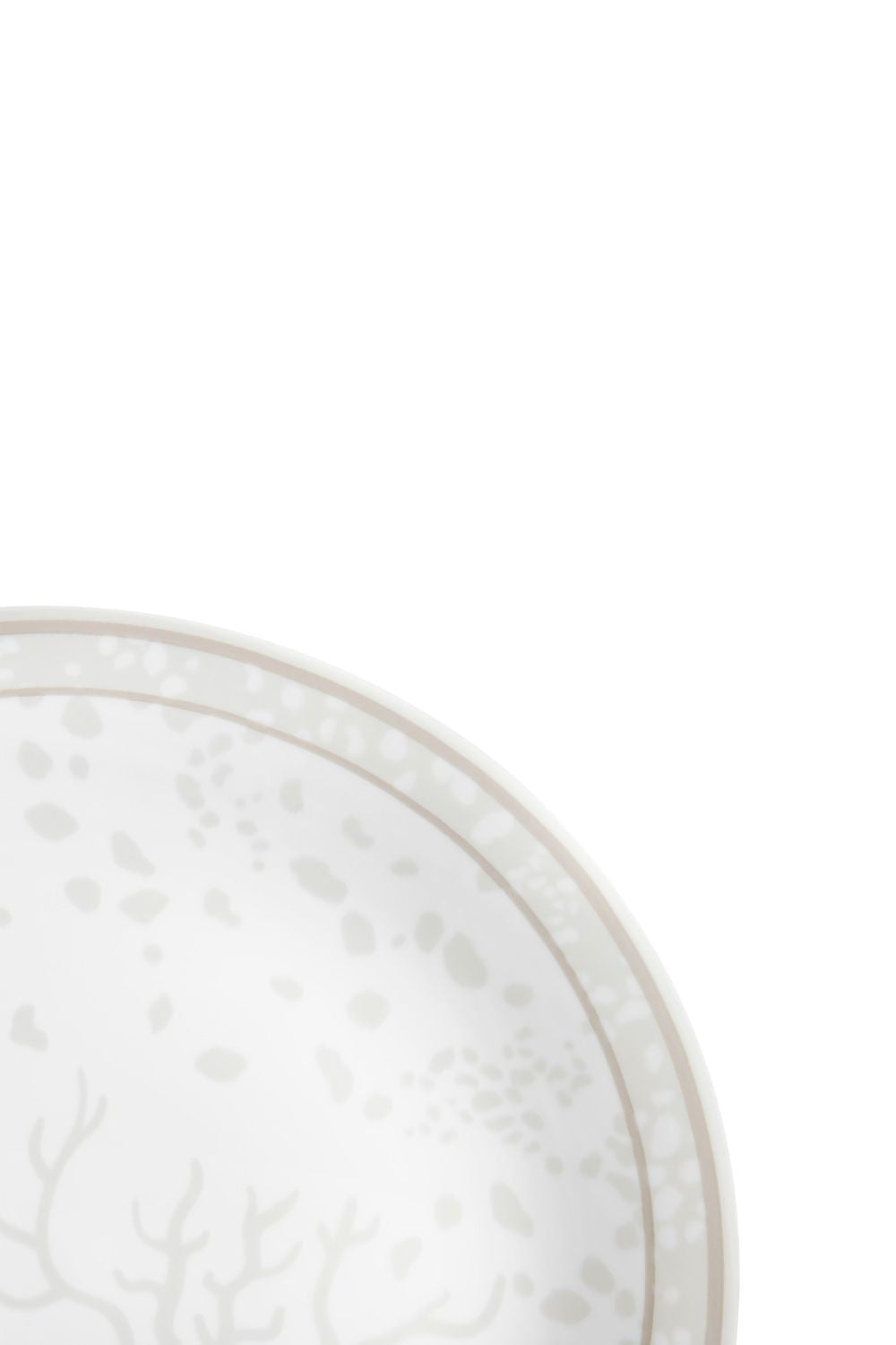 PRATO RASO CORAL MAR TROPICAL UNICA