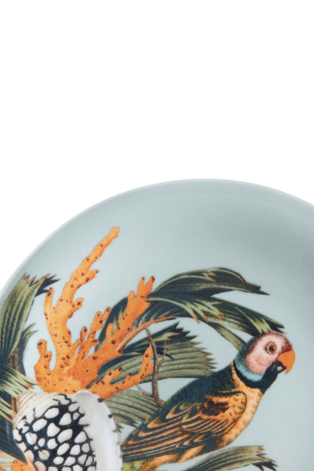 PRATO SOBREMESA PÁSSARO MAR TROPICAL UNICA