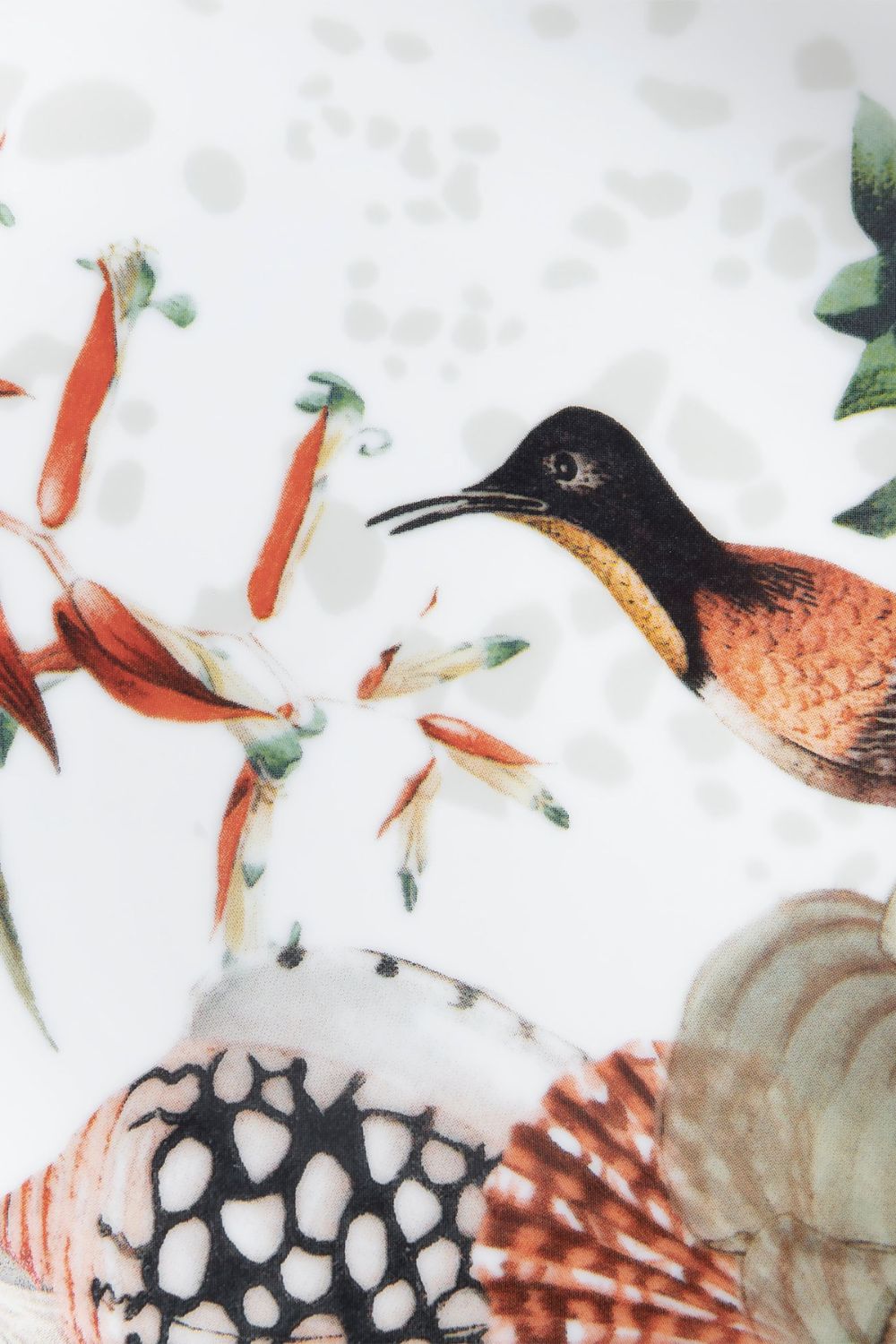 PRATO SOBREMESA COLIBRI MAR TROPICAL UNICA